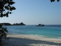 Unterwasserfotos Tauchbilder Tauchen in Khao Lak - Similans - Andamanensee - Thailand