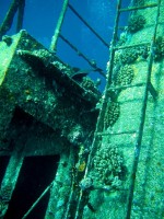 Unterwasserfotos Tauchbilder El Gouna, Wracktauchen Gianni D. 