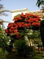 Hotel 'The Grand' Hurghada Rotes Meer