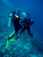 Unterwasserfotos Tauchbilder Hurghada Police Station - Shaab Sabina
