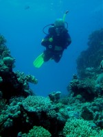Unterwasserfotos Tauchbilder Hurghada El Aruk Split Erg - Balena (Wrack)