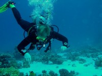 Unterwasserfotos Tauchbilder Hurghada Banana Reef - Shaab Sabina