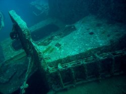 Unterwasserfotos Tauchbilder El Miniya, El Fanadir North, El Fanus West  Euro-Divers
