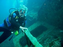 Unterwasserfotos Tauchbilder El Miniya, El Fanadir North, El Fanus West  Euro-Divers
