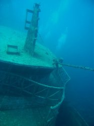 Unterwasserfotos Tauchbilder El Miniya, El Fanadir North, El Fanus West  Euro-Divers