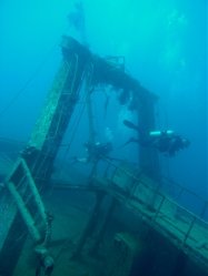 Unterwasserfotos Tauchbilder El Miniya, El Fanadir North, El Fanus West  Euro-Divers