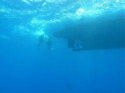 Unterwasserfotos Tauchbilder Tauchplatz: Careless  Euro-Divers