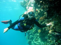 Unterwasserfotos Tauchbilder Abu Ramada Plateau, Abu Ramada Cave  Euro-Divers