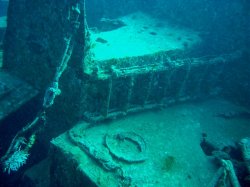 Unterwasserfotos Tauchbilder El Miniya  Euro-Divers