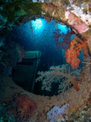 Unterwasserfotos Tauchbilder Excalibur (Wrack)  Euro-Divers