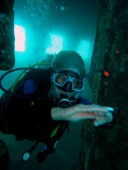 Unterwasserfotos Tauchbilder Excalibur (Wrack)  Euro-Divers