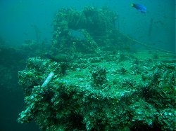 Unterwasserfotos Tauchbilder Tauchen Phuket Kings Cruiser Wrack - Thailand