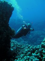 Unterwasserfotos Tauchbilder Marsa Alam