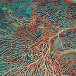 M0010872 a