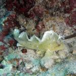 M0010749 a