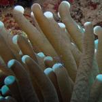 M0010704 a