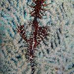 M0010044 a