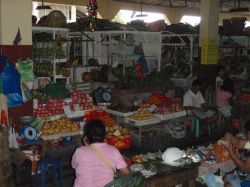 Mactan (Cebu), Negros, Pangalo (Bohol), Camiguin, Mindanao