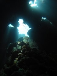 Unterwasserfotos Tauchbilder Tauchen Rotes Meer Mai 2010 MY Blue Seas Blue Planet Liveaboards