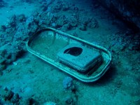 Unterwasserbilder Tauchfotos