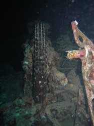 Unterwasserfotos Tauchbilder Wrack  SS Thistlegorm