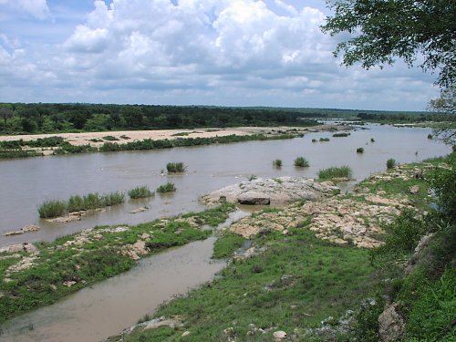Flusslandschaft - Crocodile River