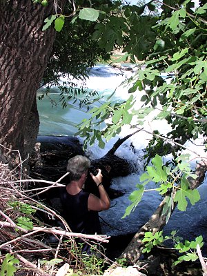 Monika fotografiert die Stromschnellen